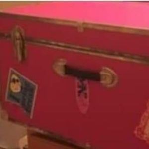 PINK VICTORIA'S SECRET SPRING BREAK TRUNK
